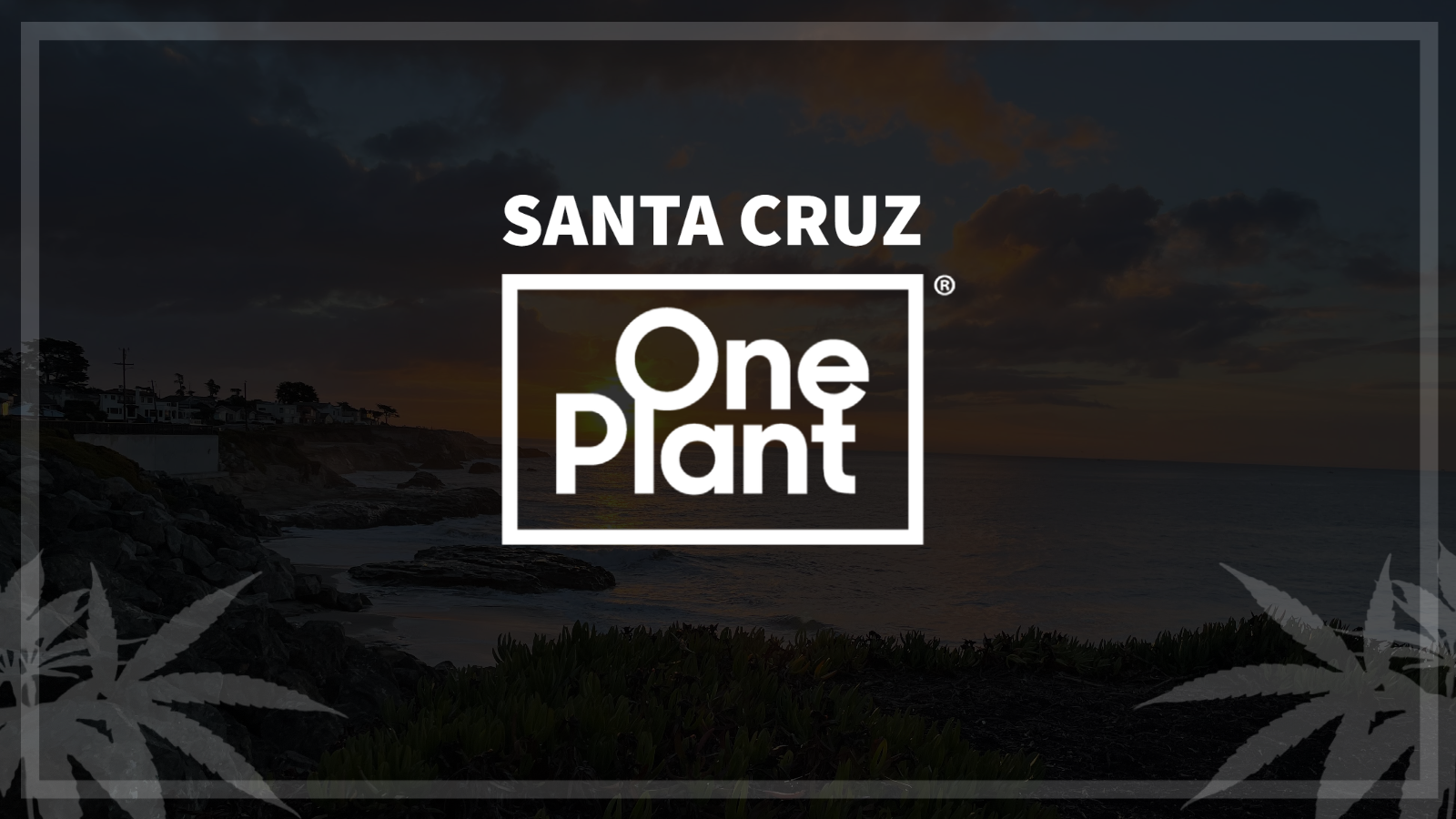 SANTA CRUZ Promo Party is Back With NEW Daily Deals